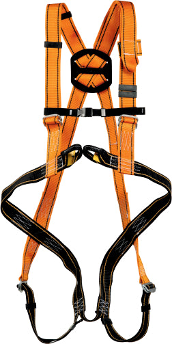 Life line + Rescue harness